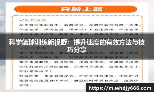 米兰体育官网